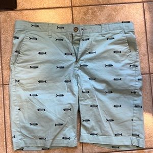 Hudson & Barrow Aqua/Blue Fishbone Shorts Size 34